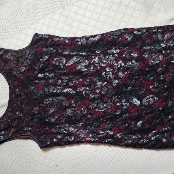 Dresses & Skirts - 𝅺cache black lace dress